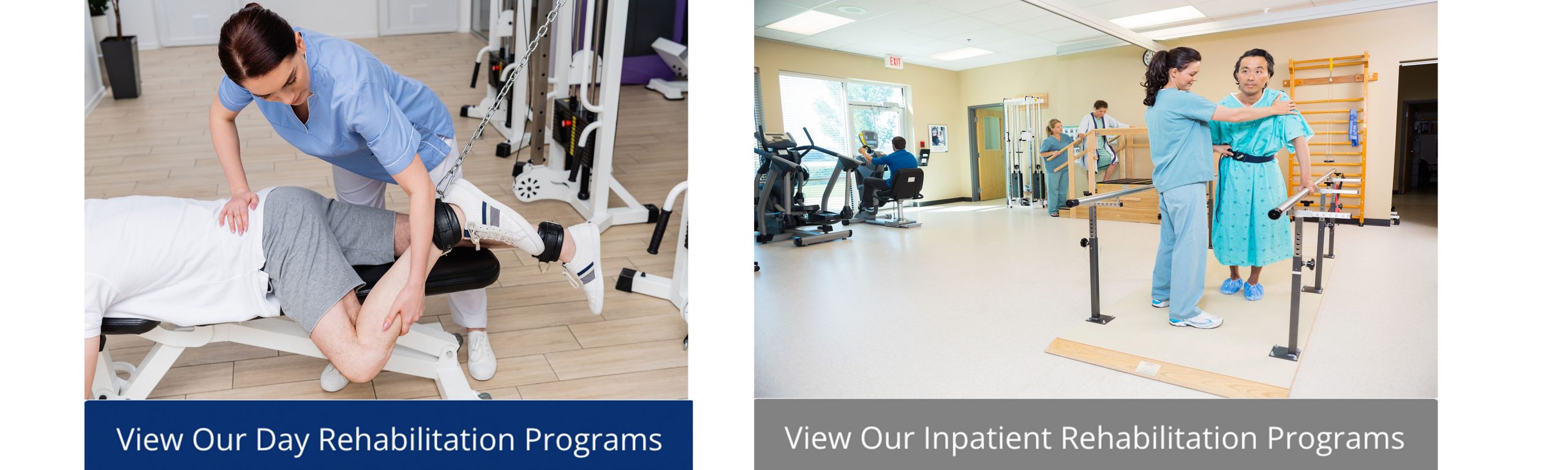 View-Our-programs